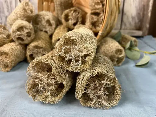 Farm-Harvested Loofah